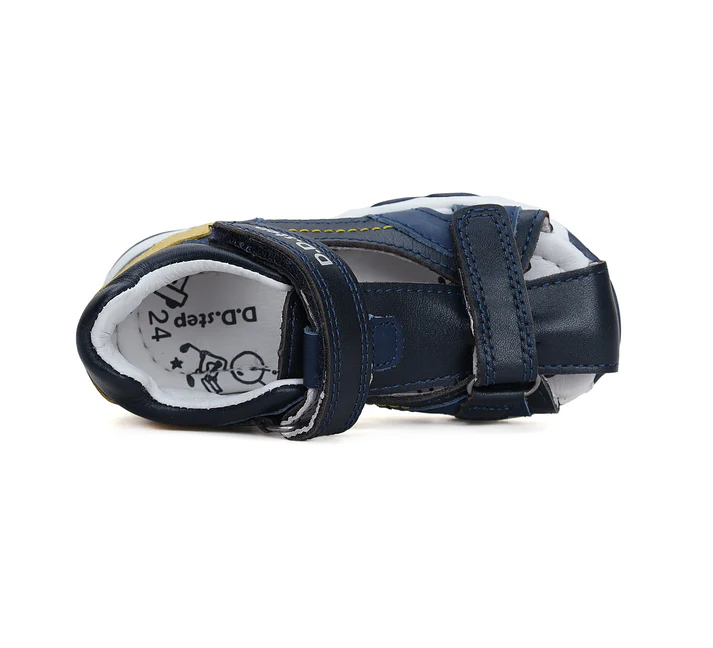 G064 41451RoyalBlue04