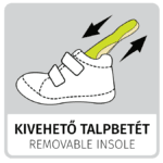 REMOVABLE INSOLE